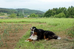 1-DSC05642.JPG