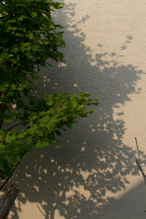 DSC00075.JPG