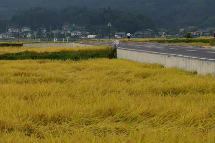 DSC00207.JPG