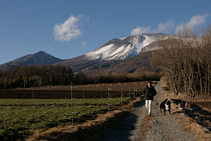 DSC00412.JPG