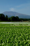 DSC01356.JPG
