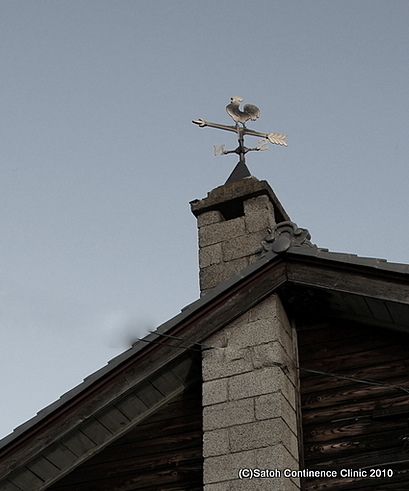 DSC01451-3.JPG