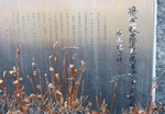 DSC02360-1.JPG
