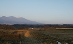 DSC02375-1.JPG