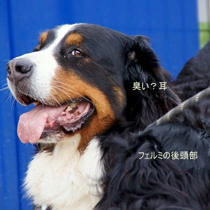 DSC04270.JPG