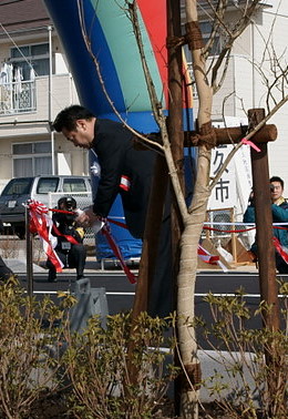 DSC04740.JPG