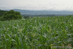 DSC06027.JPG