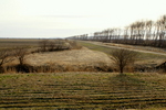 DSC08553.JPG