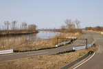 DSC08556.JPG