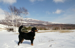 DSC08789.JPG