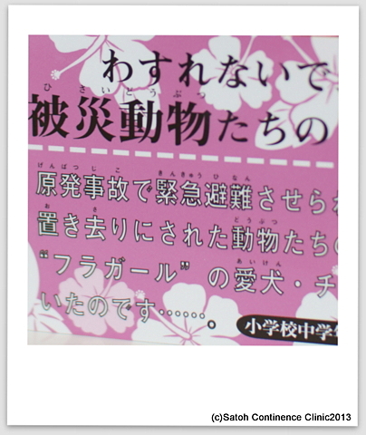 DSC08866.JPG