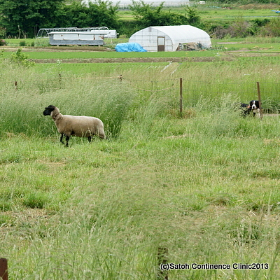 DSC09548.JPG