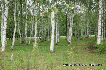 DSC09930.JPG